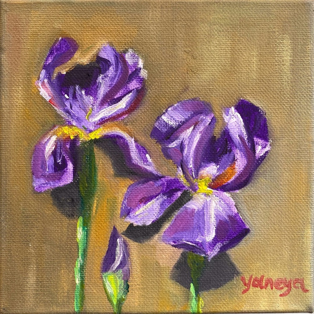 Irises Original oil painting contemporary art floral painting impressionism